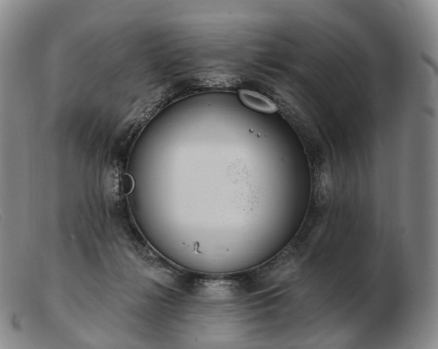 X0000103470268200809191842