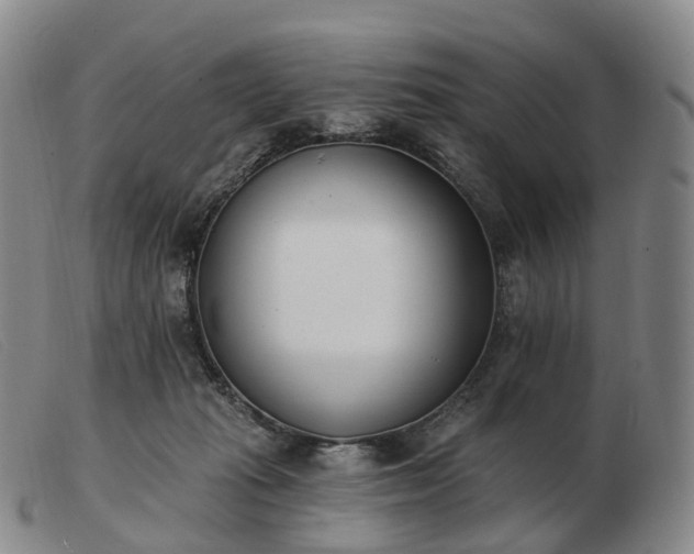 X0000103470269200809191842