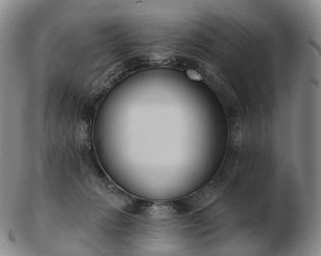 X0000103470270200809191842