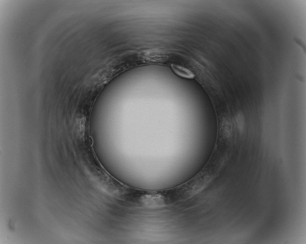 X0000103470271200809191842