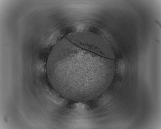 X0000103470272200809191842