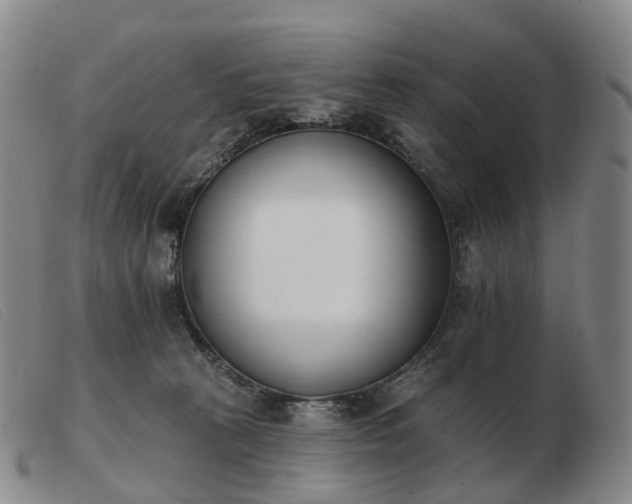 X0000103470273200809191842