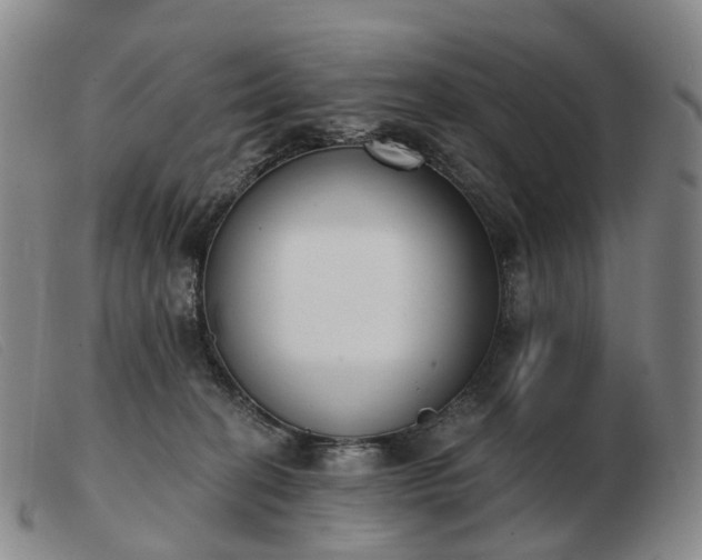 X0000103470274200809191842