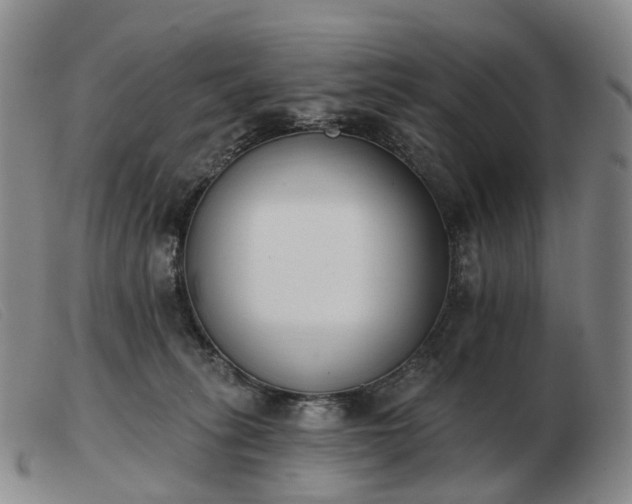 X0000103470275200809191842