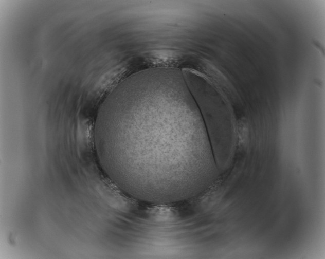 X0000103470276200809191842