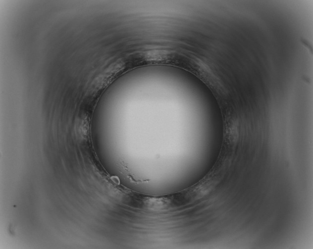 X0000103470277200809191842