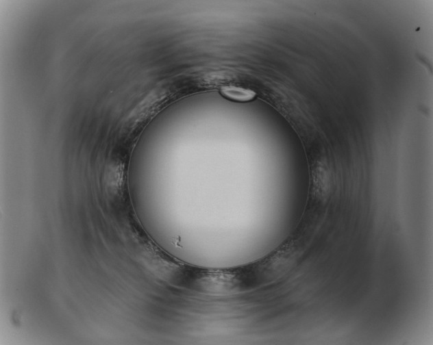 X0000103470278200809191842