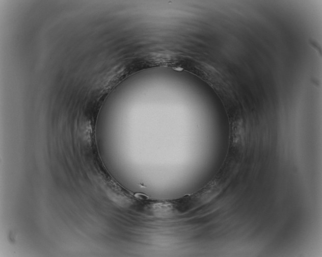 X0000103470279200809191842