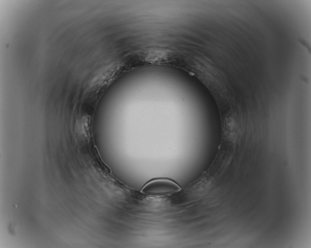 X0000103470280200809191842