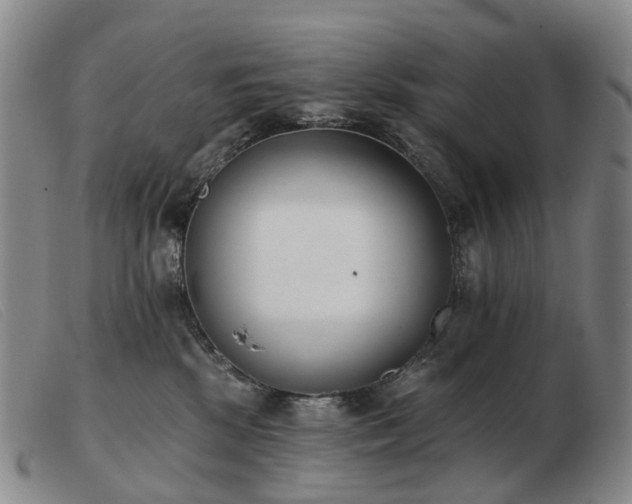 X0000103470281200809191842