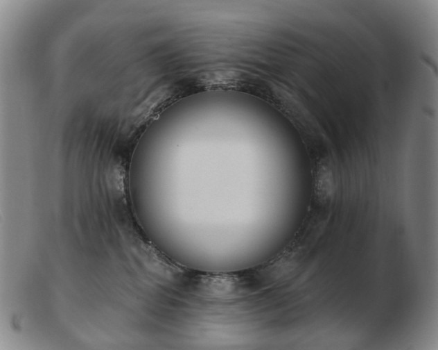 X0000103470282200809191842