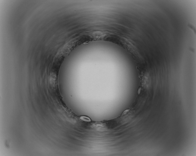 X0000103470283200809191842