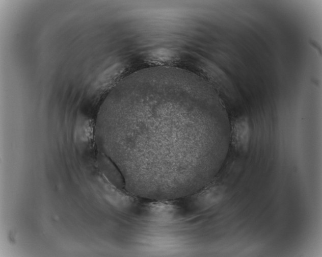 X0000103470284200809191842