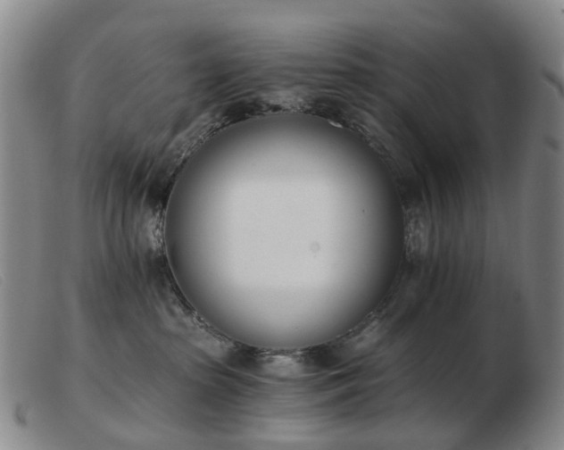 X0000103470285200809191842