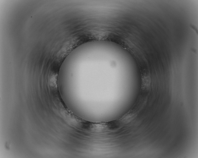 X0000103470286200809191842