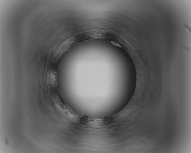 X0000103470288200809191842