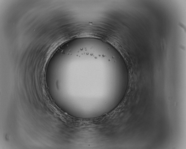 X0000103470289200809191842