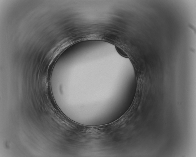 X0000103470290200809191842