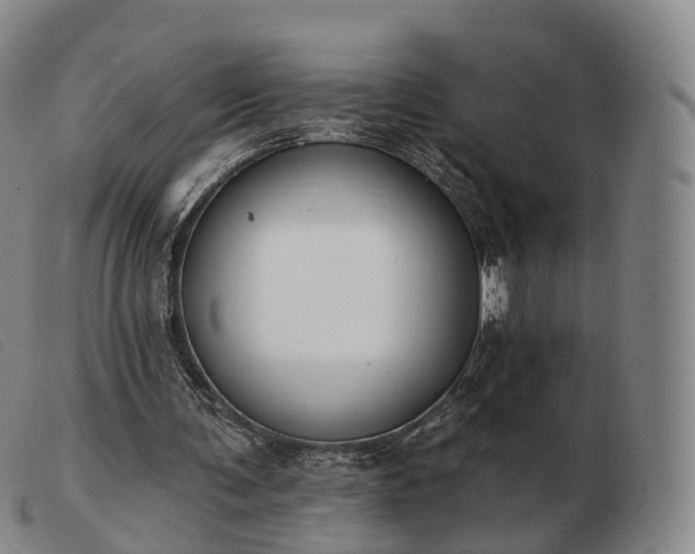 X0000103470291200809191841