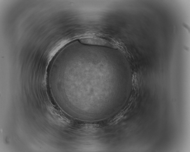 X0000103470292200809191841