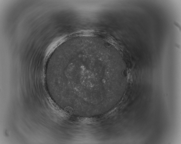 X0000103470293200809191841