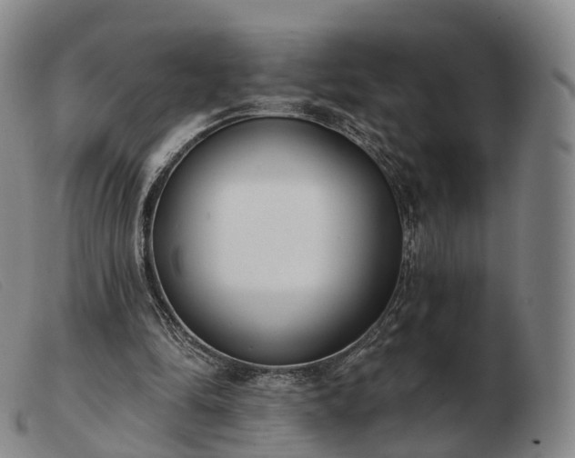 X0000103470294200809191841