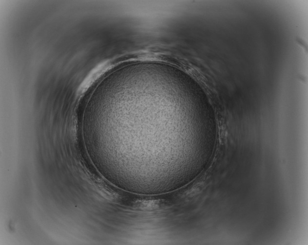 X0000103470295200809191841