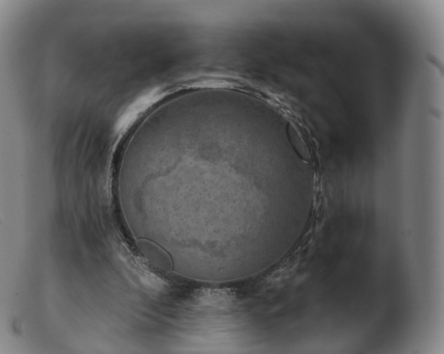 X0000103470296200809191841