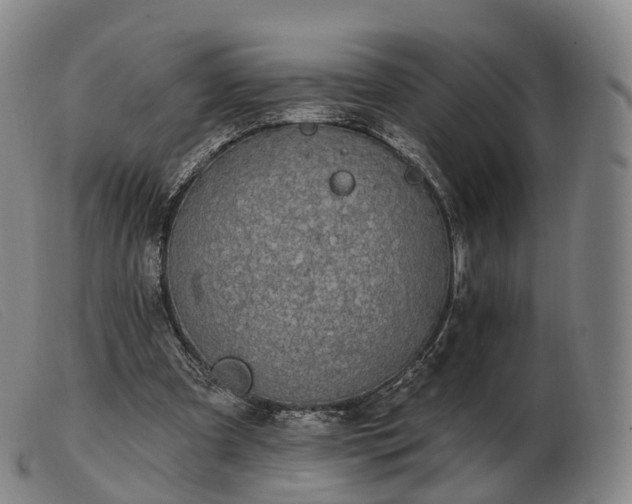 X0000103470297200809191841