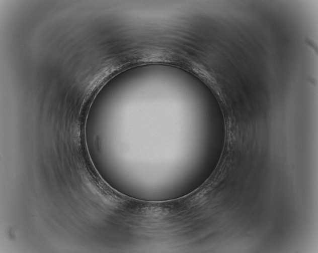 X0000103470298200809191841