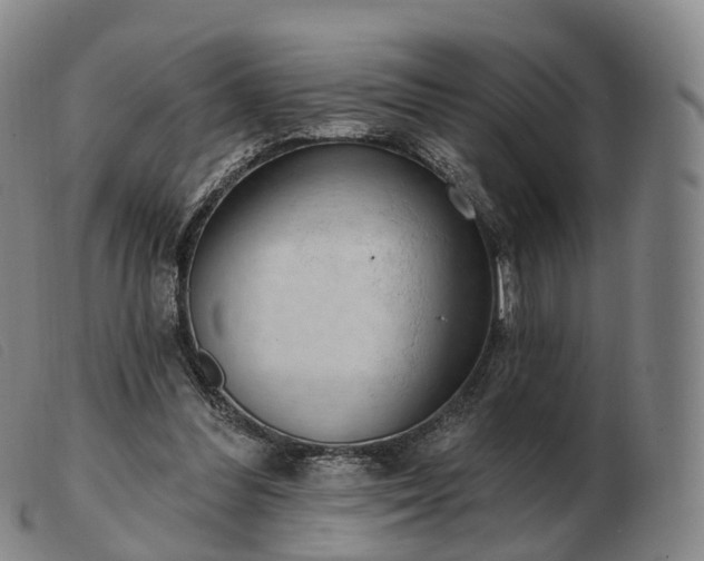 X0000103470300200809191841