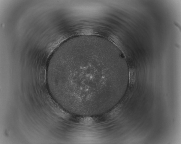 X0000103470301200809191841