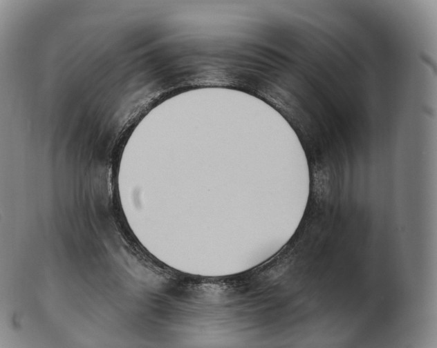 X0000103470302200809191841