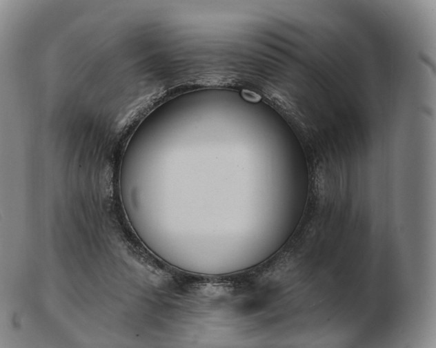 X0000103470303200809191841