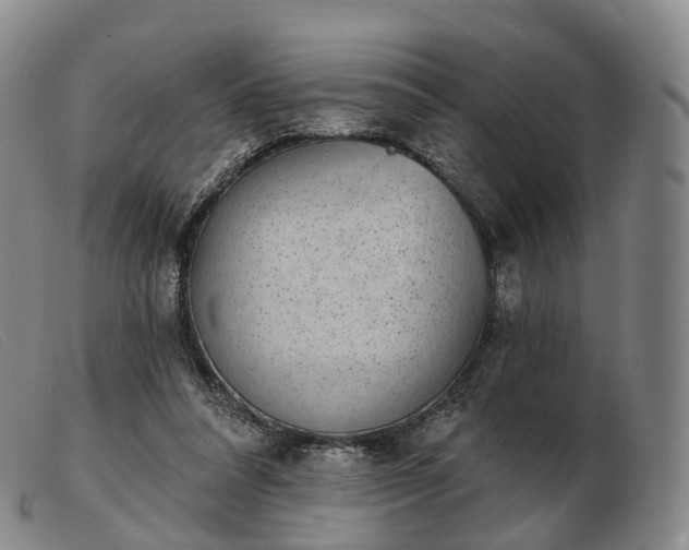 X0000103470304200809191841