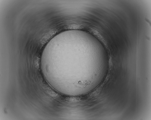 X0000103470305200809191841