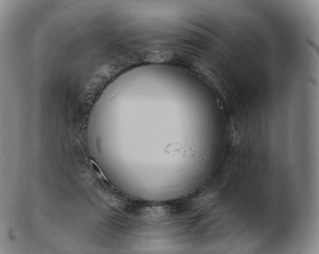 X0000103470307200809191841