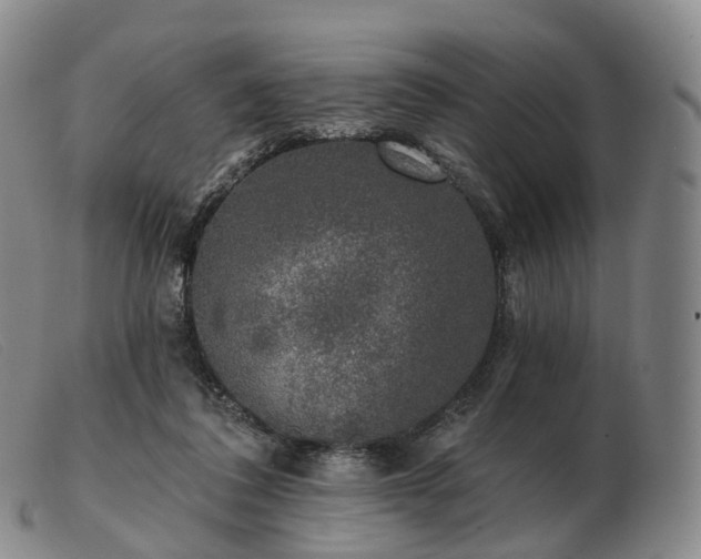 X0000103470308200809191841