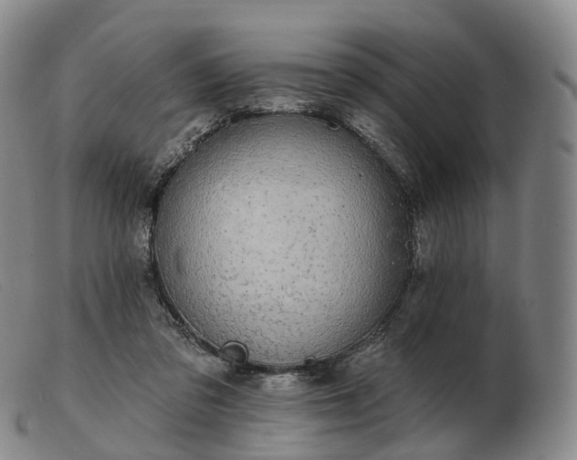 X0000103470309200809191841