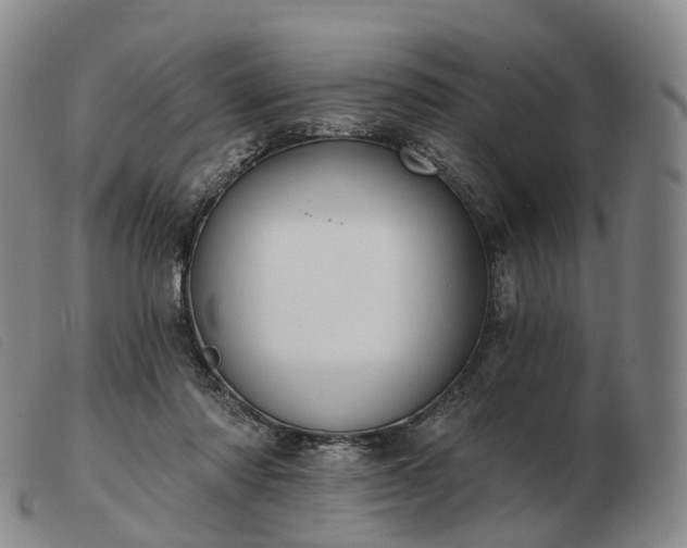 X0000103470310200809191841