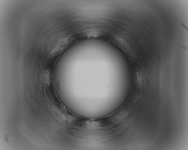 X0000103470311200809191841