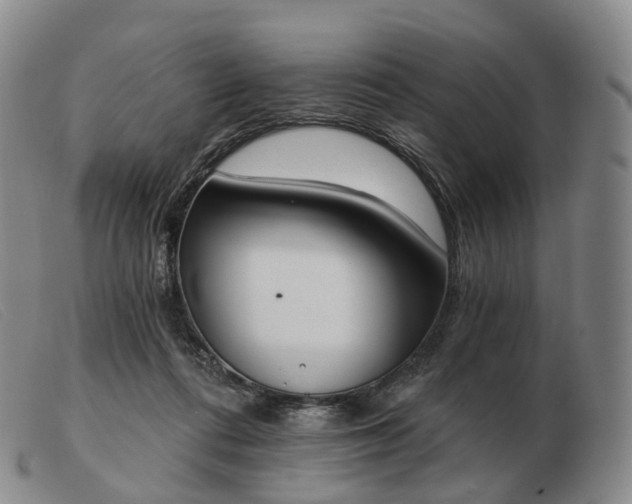 X0000103470312200809191841