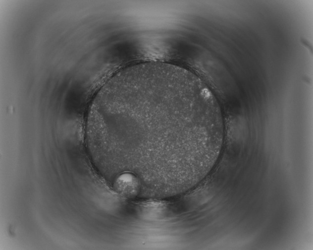 X0000103470313200809191841