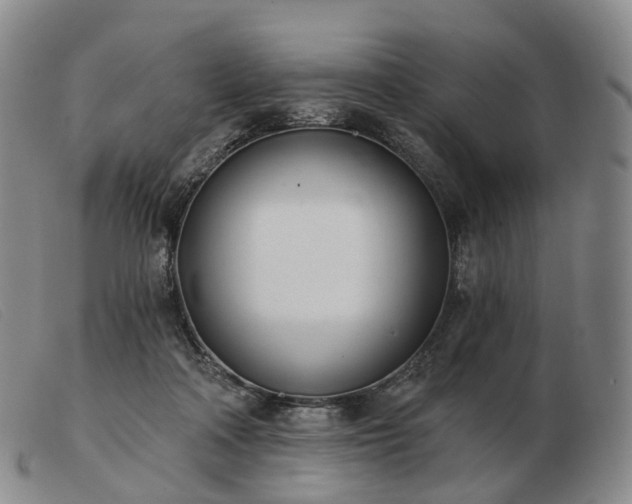 X0000103470314200809191841