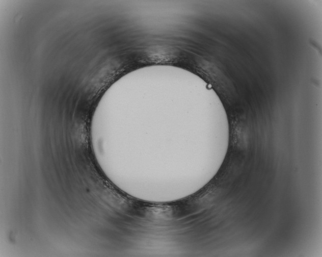 X0000103470317200809191841