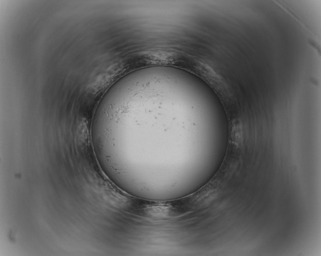 X0000103470318200809191841