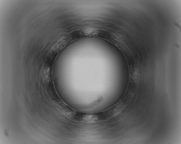 X0000103470319200809191841