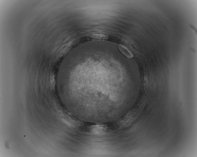 X0000103470320200809191841