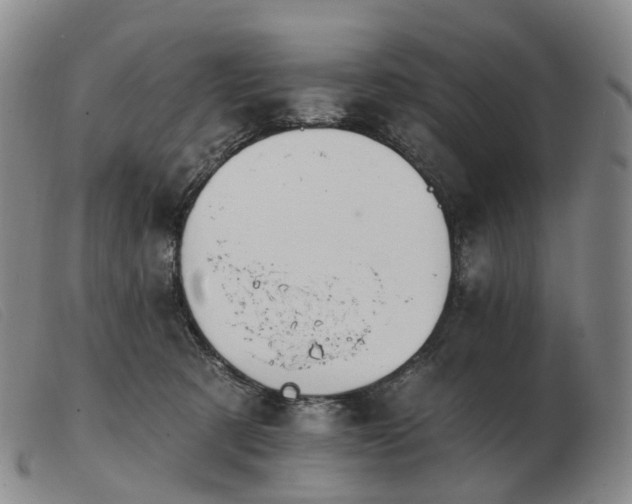 X0000103470321200809191841