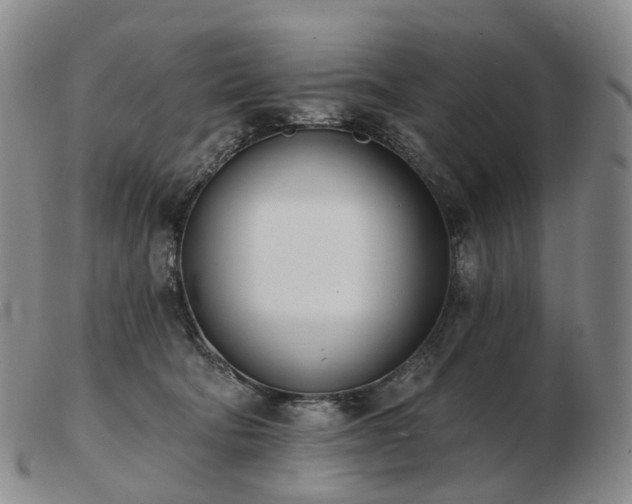 X0000103470322200809191841